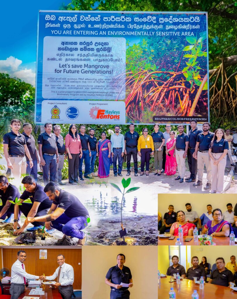 Hayleys-Fentons-Launches-Roots-of-Resilience-Programme-to-Restore-Bolgoda-Rivers-Mangroves